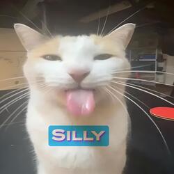 Silly