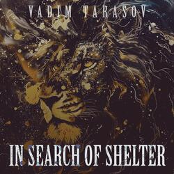 In search of shelter