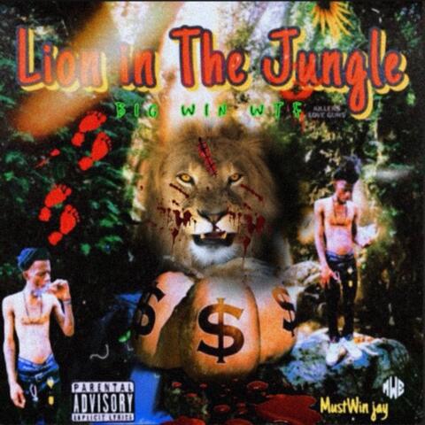 Lion in The Jungle