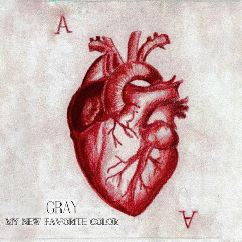Gray (My New Favorite Color)
