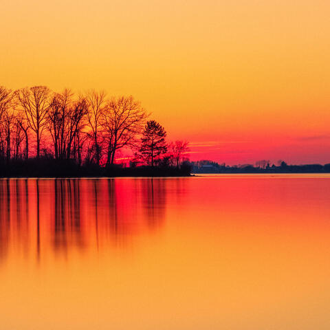 1 Night With White Noise: Tranquil