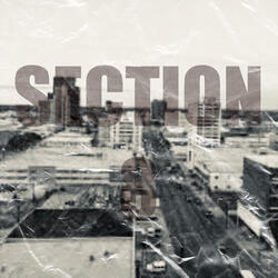 Section 8