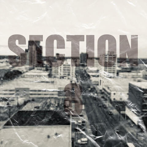 Section 8