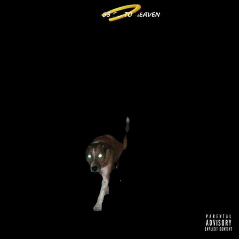 All Dogs Go To Heaven