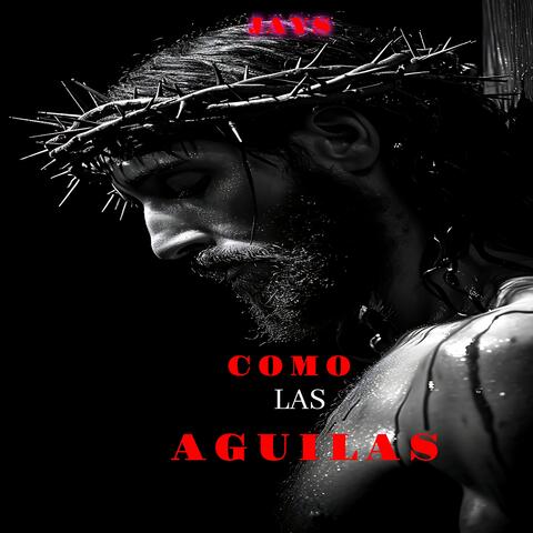 COMO LAS AGUILAS
