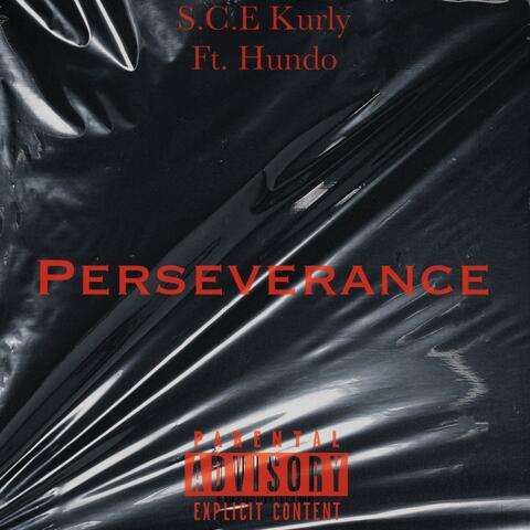 Perseverance