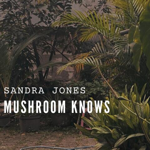 Mushroom knows