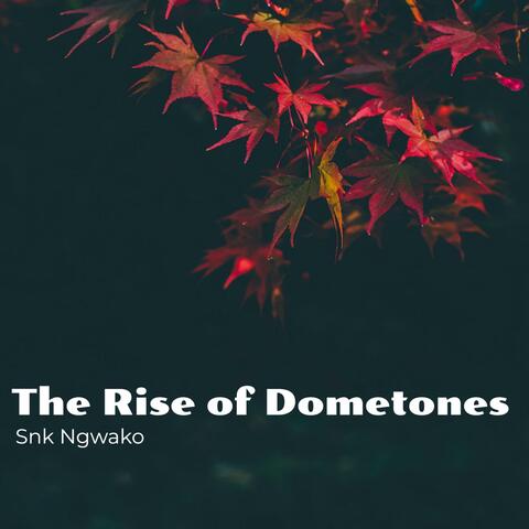 The Rise of Dometones