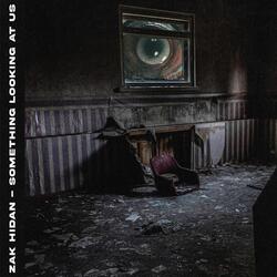 Something Looking At Us