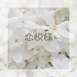 恋模様