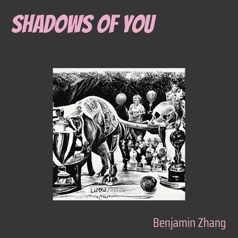 Shadows of You
