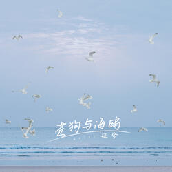 苍狗与海鸥