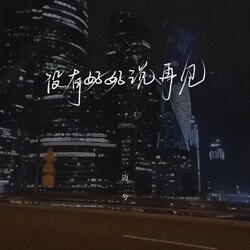 没有好好说再见