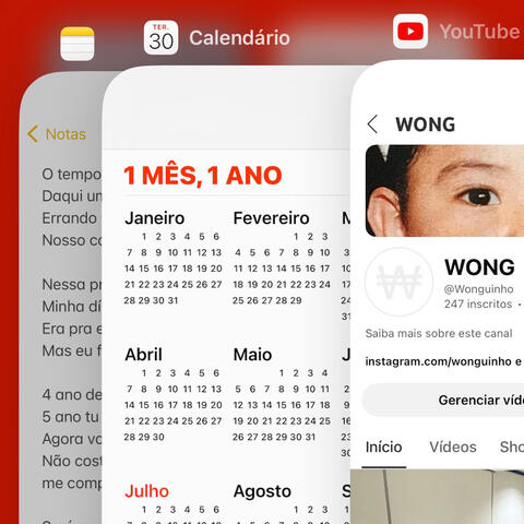 1 Mês, 1 Ano
