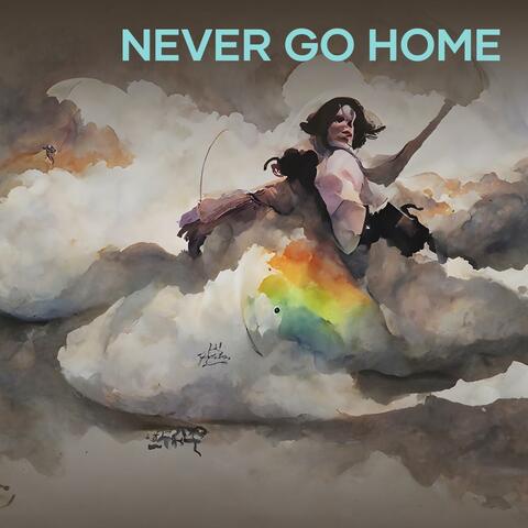 Never Go Home
