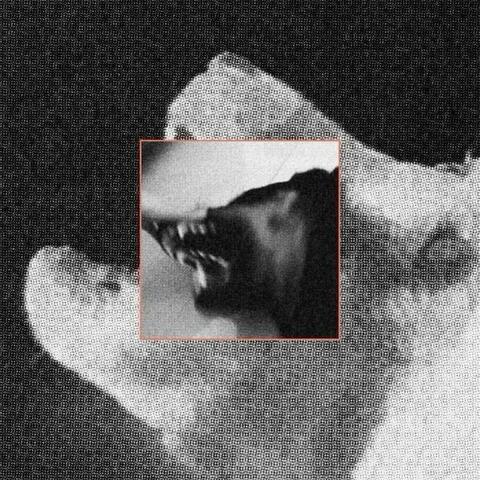 SIN