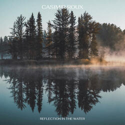 Reflection in the water