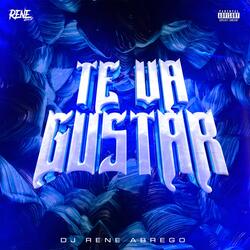TE VA GUSTAR