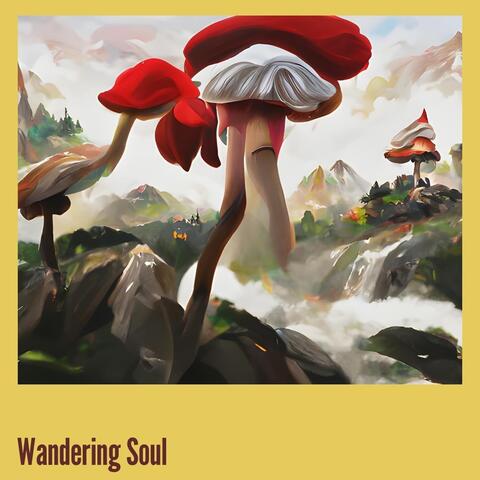Wandering Soul
