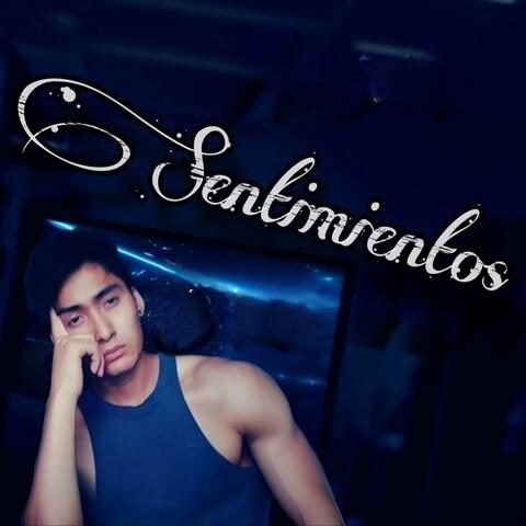 Sentimientos