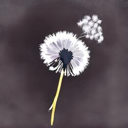 Dandelion