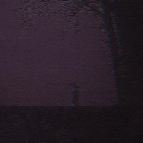 the veiled melancholy