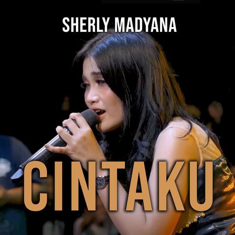 Cintaku