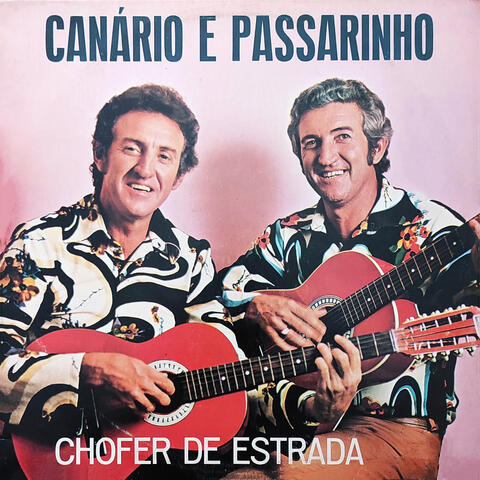 Chofer de Estrada