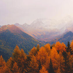 Our Hope for Years to Come