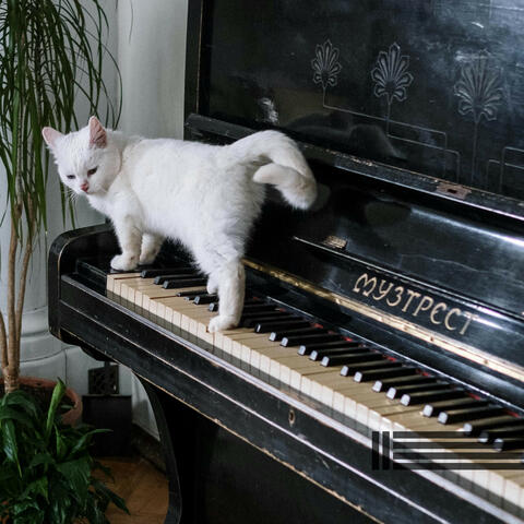 Quiet & Slow Piano Music