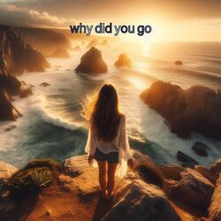 why did you go