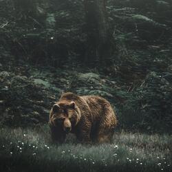 forestry