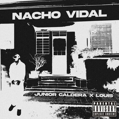 NACHO VIDAL