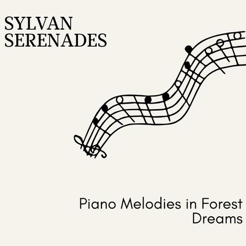 Sylvan Serenades - Piano Melodies in Forest Dreams