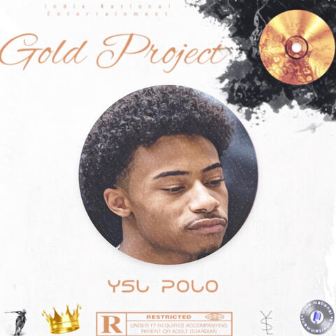 GOLD PROJECT