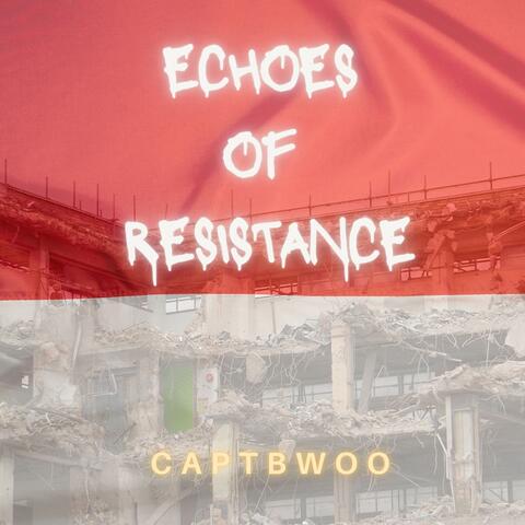 Echoes of Resistance