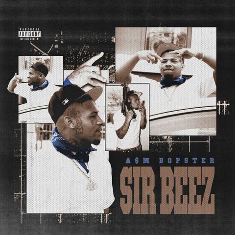 Sir Beez
