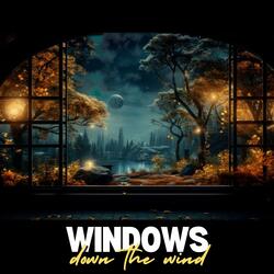 Windows down the wind