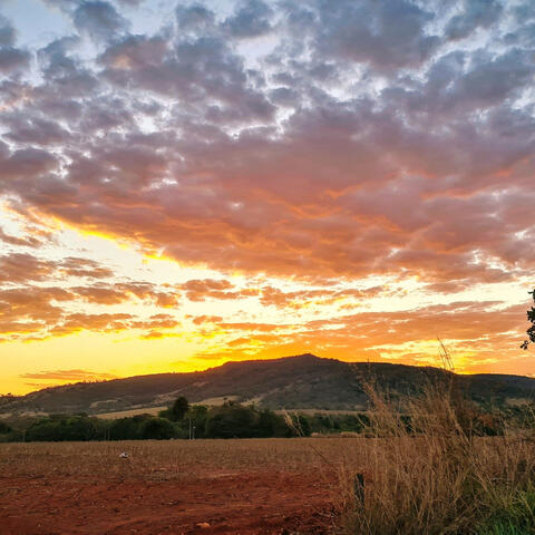 Salmo 14(15) - Senhor, quem morará em vossa casa e no vosso monte santo habitará?