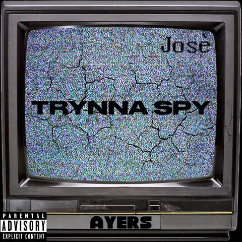 Trynna Spy