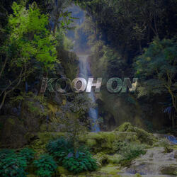 KOOH ON