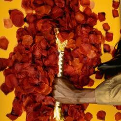 Personally, I dont care anymore