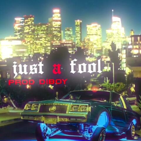 Just A Fool