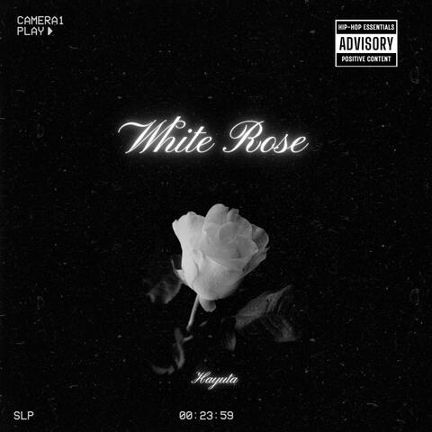 White Rose