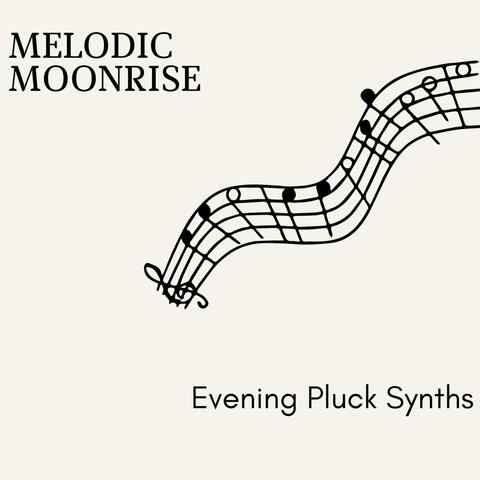 Melodic Moonrise - Evening Pluck Synths