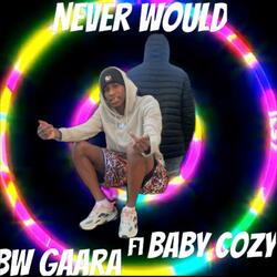 Never Would