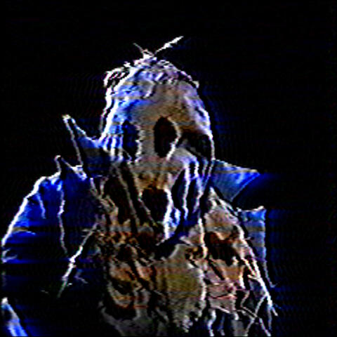 dark night of the scarecrow