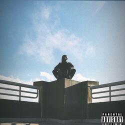 Lions Tigers & Bears