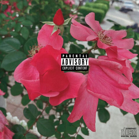 Batch Of Beats Vol. 2