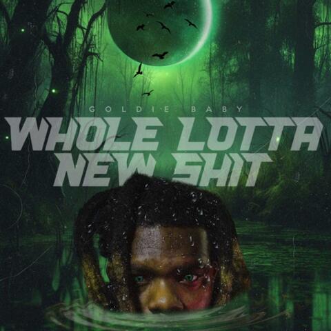Whole Lotta New Shit